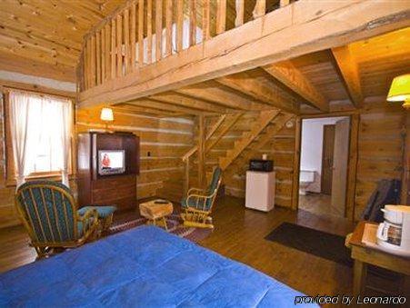 Galena Log Cabin Getaway Rum bild