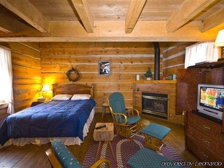 Galena Log Cabin Getaway Rum bild